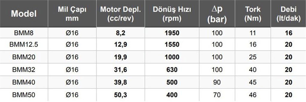 BMM8 Hidromotor 16 lt/dak - 8,2 cc/rev-1