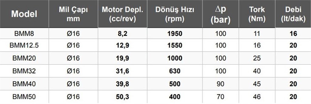 BMM40 Hidromotor 20 lt/dak - 39,8 cc/rev BMM40 Hidromotor 20 lt/dak - 39,8 cc/rev-2