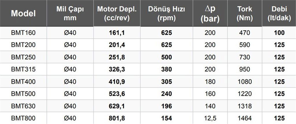 BMT160 Hidromotor 100 lt/dak - 161,1 cc/rev-1