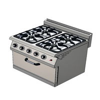 CSA INOX Set Üstü 4+1 Fırın LPG Tüplü Kuzine