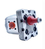 0.5P Serisi Hidrolik Dişli Pompa Sağ Dönüş - 3,70 cm³/dev