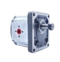 2P1 Serisi Hidrolik Dişli Pompa Sağ Dönüş - 28,80 cm³/dev