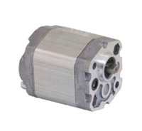 Grup 00-HX047 Hidrolik Dişli Pompa Sağ Dönüş - 1,0 cc/devir