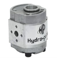 Grup 10-HX179 Hidrolik Dişli Pompa Sağ Dönüş - 6,1 cc/devir