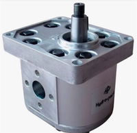 Grup 20-HX168 Hidrolik Dişli Pompa Sağ Dönüş - 16 cc/devir