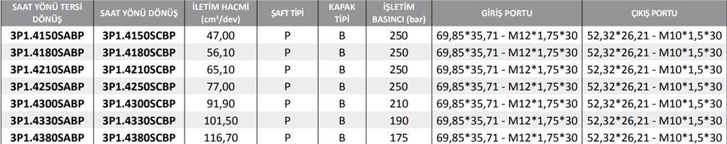 3P1 Serisi Hidrolik Dişli Pompa Sağ Dönüş - 65,20 cm³/dev-1