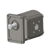 1CP - 1PN Kapak Hidrolik Dişli Pompa Sağ Dönüş - 33 cm³/dev