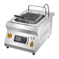 REMTA WZ-TZ035 TEKLİ İNDÜKSİYON FRİTÖZ