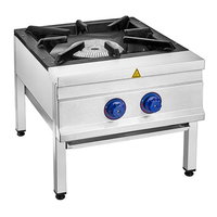 REMTA CEJ31 60X70 YER OCAĞI DOĞALGAZLI OCAK