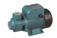 MOMENTUM PKm110AT SÜRTME FANLI 1,1kW POMPA