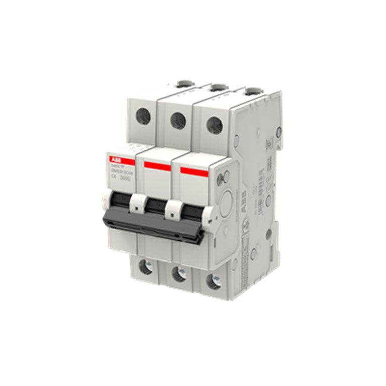 ABB Basic M C Tipi BMS313C06 Sigorta 6 (A)