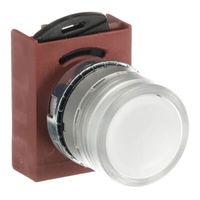 ABB Yaylı Düz Tip Işıklı Buton Kafa P9MPLRGD