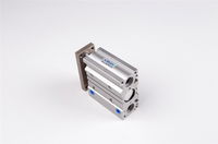 Mgpm Serisi Manyetik Yataklı Silindir Strok 25