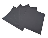 BAY-TEC 100 Kum Su Zımparası