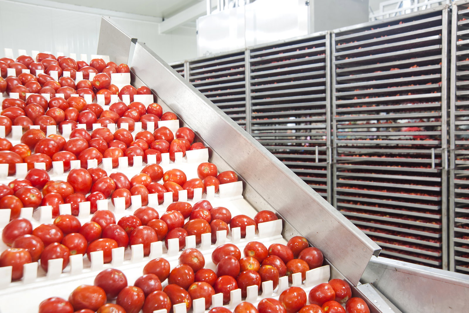 Meyve & Sebze İşleme