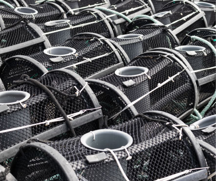 Filtre Kafes Sistemleri